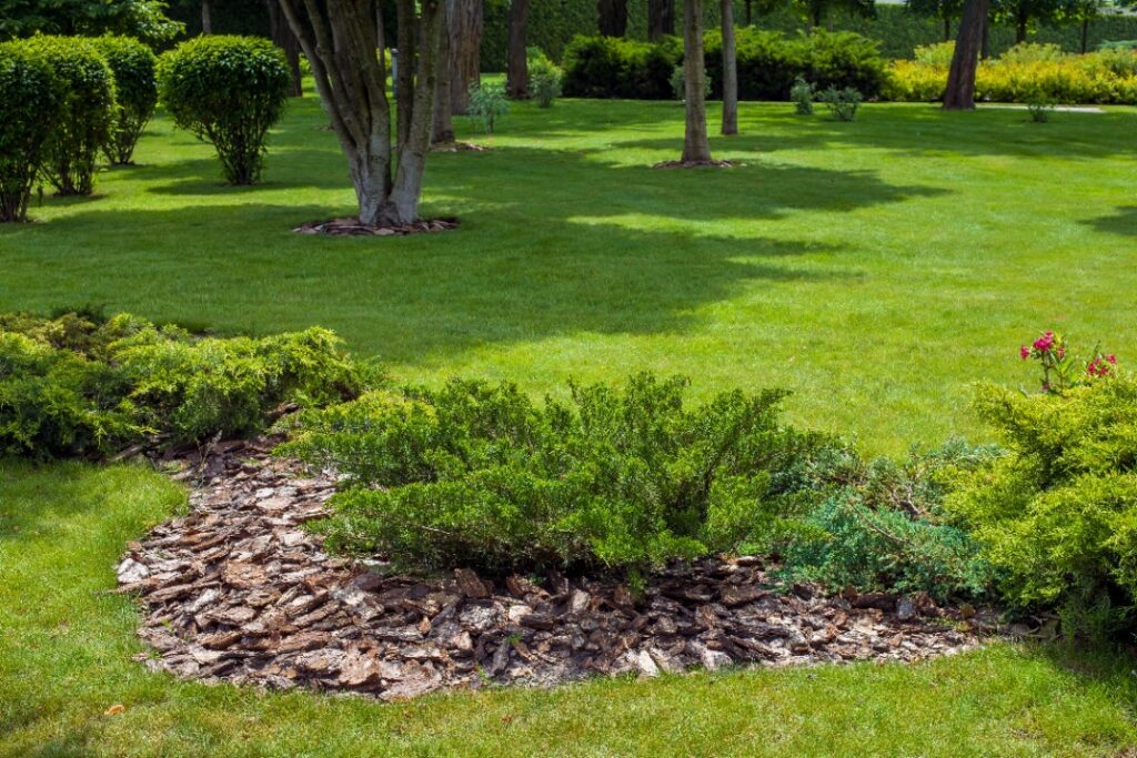 A well-maintained lawn with a curved flower bed filled with bushes, flowering plants, and a decorative birdbath in a landscaped backyard.