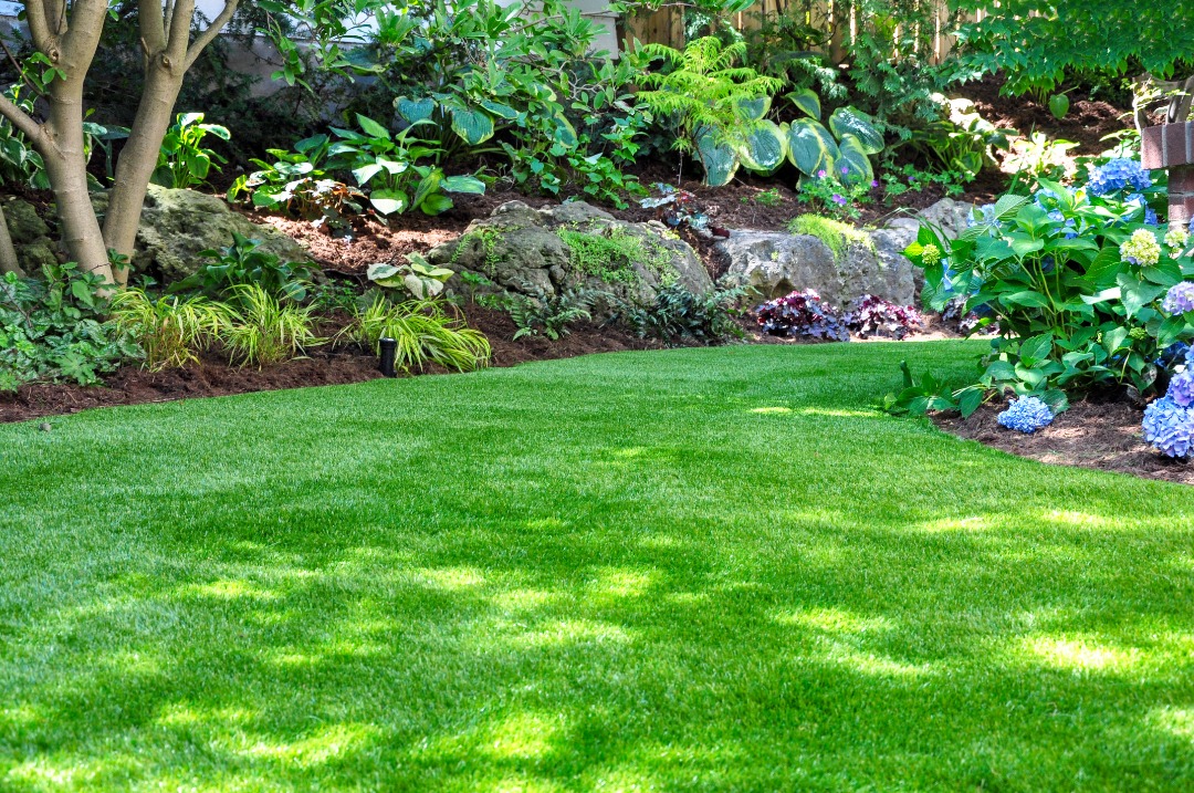 Beautiful shaded garden with lush green turf, colorful hydrangeas, ornamental plants, and natural mulch under mature trees and boulders.