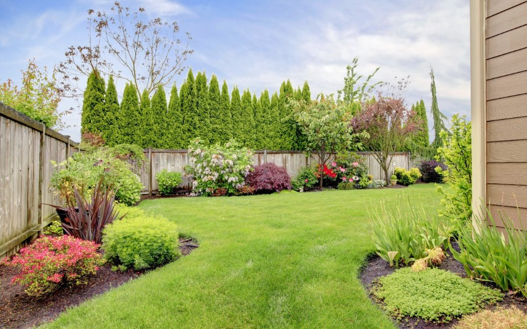 2025’s Top Landscaping Trends That Blend Beauty with Purpose